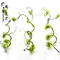 Artificial Vine Hanging Plants