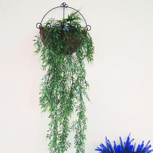 Murgröna hängande växtvägg för dekoration