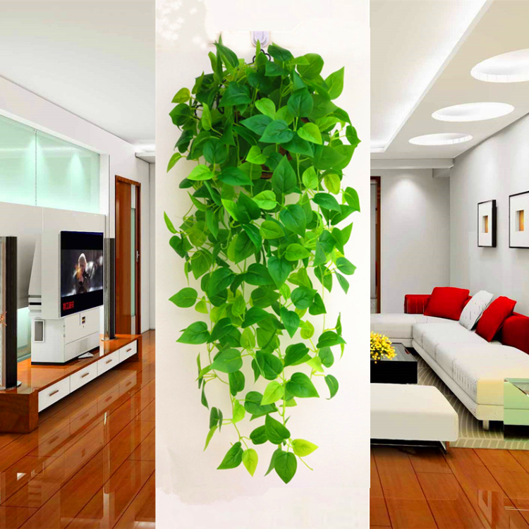 Lvy Hanging Plant Wall for Decoration