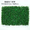 Artificial Vertical Plant Wall for Home Building Decor