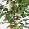 artificial bonsai_house plant_potted plant  ficus tree for decoration 