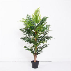 Areca palma artifisialy chrysalidocarpus