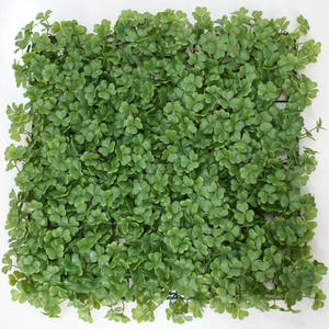 Artificial lawn plastic lucky huswa simulation chirimwa madziro green plant decoration