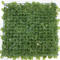 Artificial lawn plastic lucky grass simulation plant wall green plant decoration