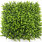 Simulated Lawn Artificial Lawn Eucalyptus Flower Garden Lysimachia False Lawn Decoration