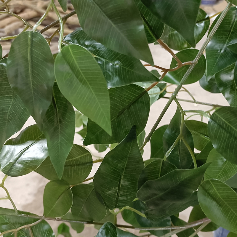  नकली बरगद के पेड़ के लिए अनुकूलित कृत्रिम सिमुलेशन पैकेज इनडोर सजावट विरोधी लौ निरोधक फिकस पेड़ 