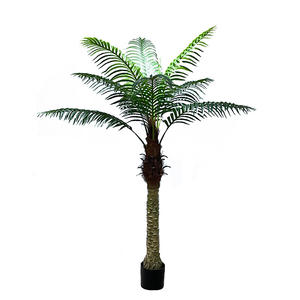 Simulyasiya edilmiş kokos ağacı Bağlı otel uşaq bağçası Simulyasiya edilmiş hindistan cevizi ağacı Landşaft mühəndisliyi mənzərəsi Süni ağac