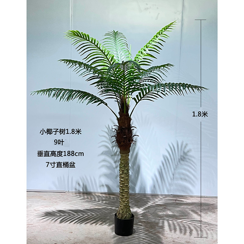 Simuleret kokosnødtræ indendørs hotel børnehave Simuleret kokosnødtræ Landskabsteknik kunstigt træ 