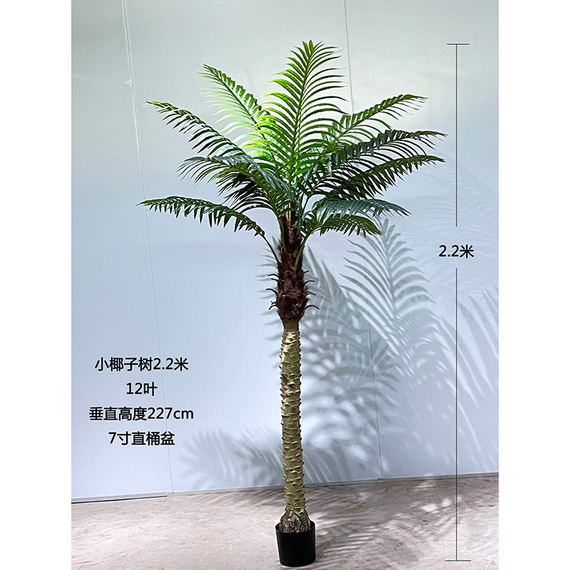  Simuleret kokosnødtræ indendørs hotel børnehave Simuleret kokosnødtræ Landskabsteknik kunstigt træ 