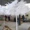 Artificial white banyan tree fiberglass banyan tree for decor