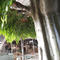 Customizable artificial banyan tree for indoor landscape 