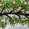 Artificial custom rose cherry blossom tree simulation single side tree wedding event decoration