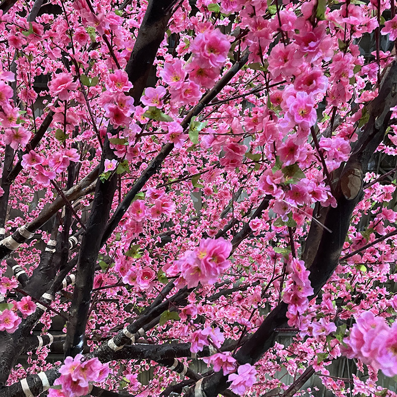  Hazo Peach Blossom vita amin'ny endrika namboarina namboarina Peach Blossom Indoor Restaurant Mall Haingo fampakaram-bady 