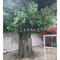 Artificial wrapped column banyan tree indoor landscaping