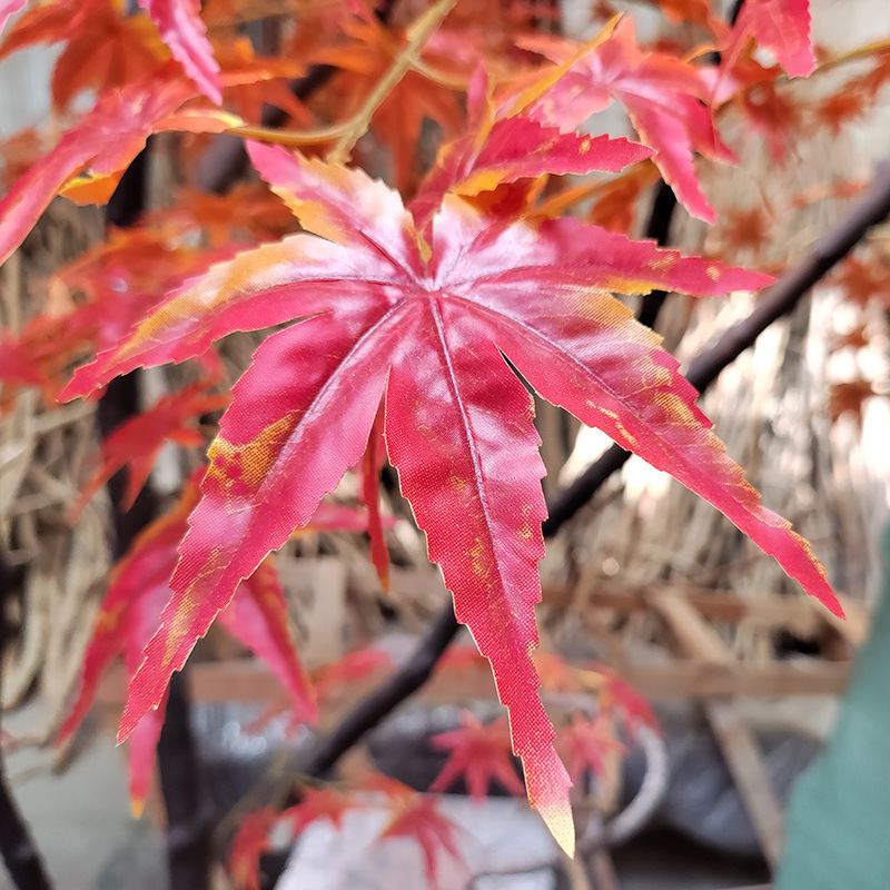  Simulated Red Maple Tree Indoor and Outdoor Mokhabiso Maple Leaf Artificial Tree Square Exhibition Hall Park Hotel Scene Layout Tree 