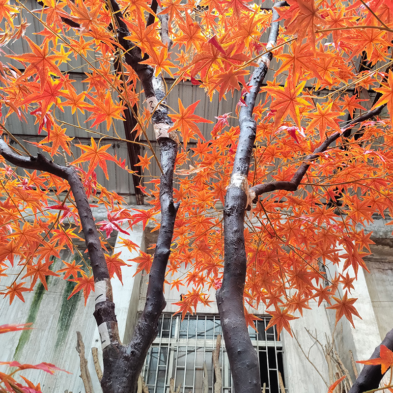  Szimulált vörös juharfa kültéri és beltéri dekoráció juharlevél mesterséges fa tér Kiállítóterem Park Hotel Scene Layout Tree 