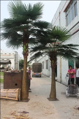 Daxili və açıq mənzərələr üçün süni kral kokos və palma ağacları