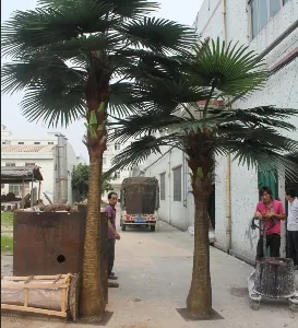 Konstgjorda kungkokosnöts- och palmer för inomhus- och utomhuslandskap