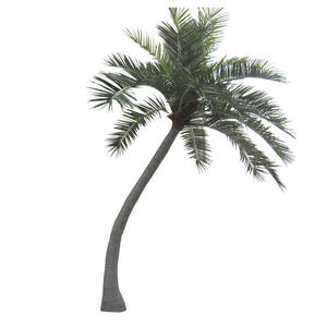 Der unverzichtbare Anti-Kokosnussbaum für den Außenbereich ist das ganze Jahr über immergrün