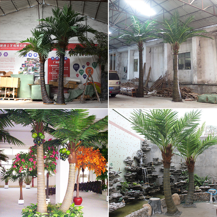  Основна антикокосова пальма для зовнішнього озеленення вічнозелена протягом року 