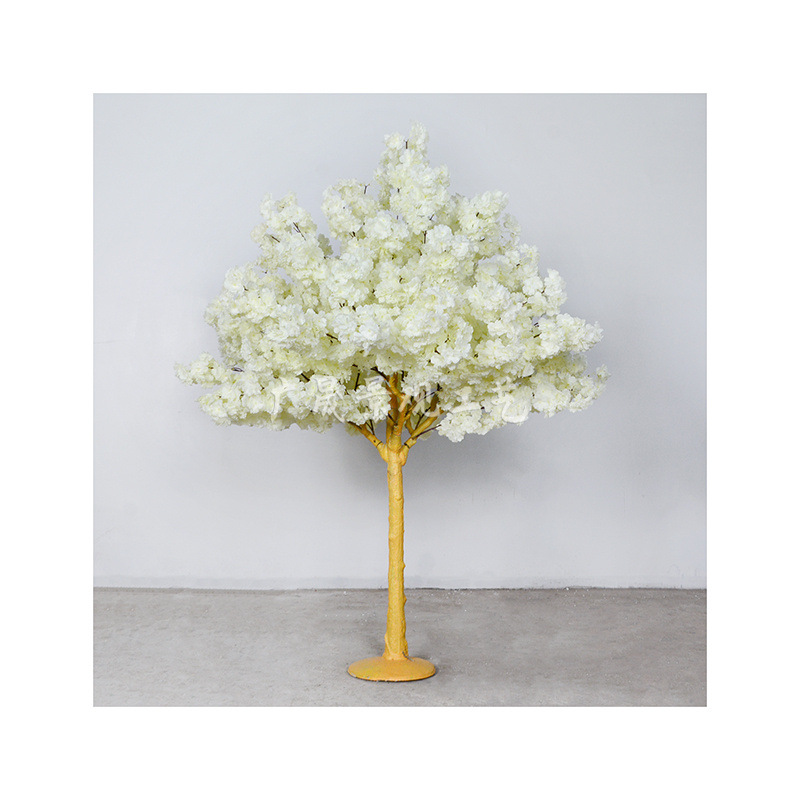 Fehér cseresznyevirág fa