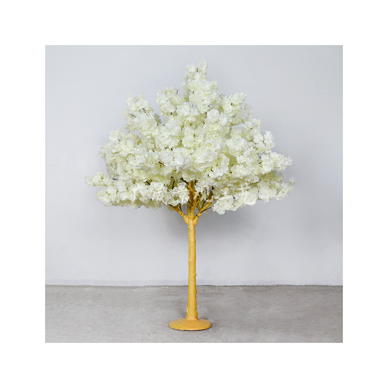 White cherry blossom tree