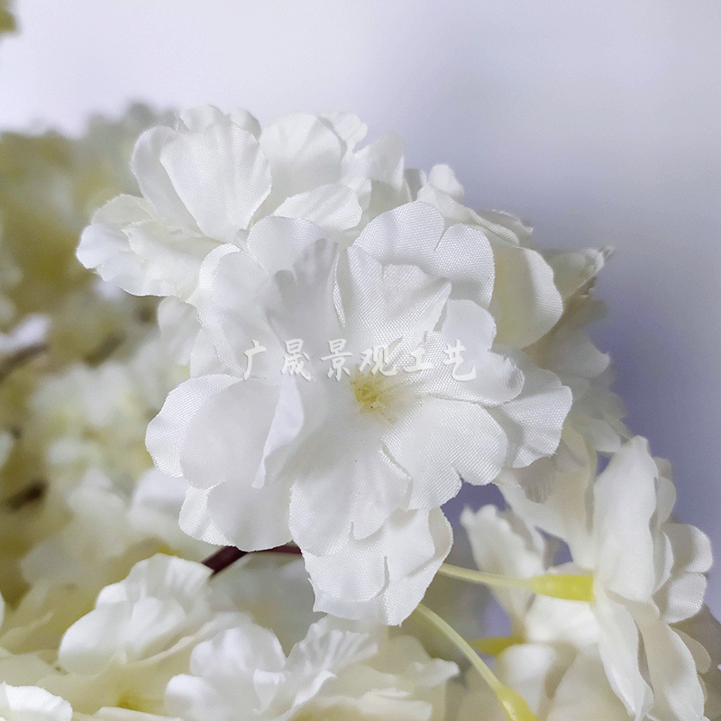 White cherry blossom tree