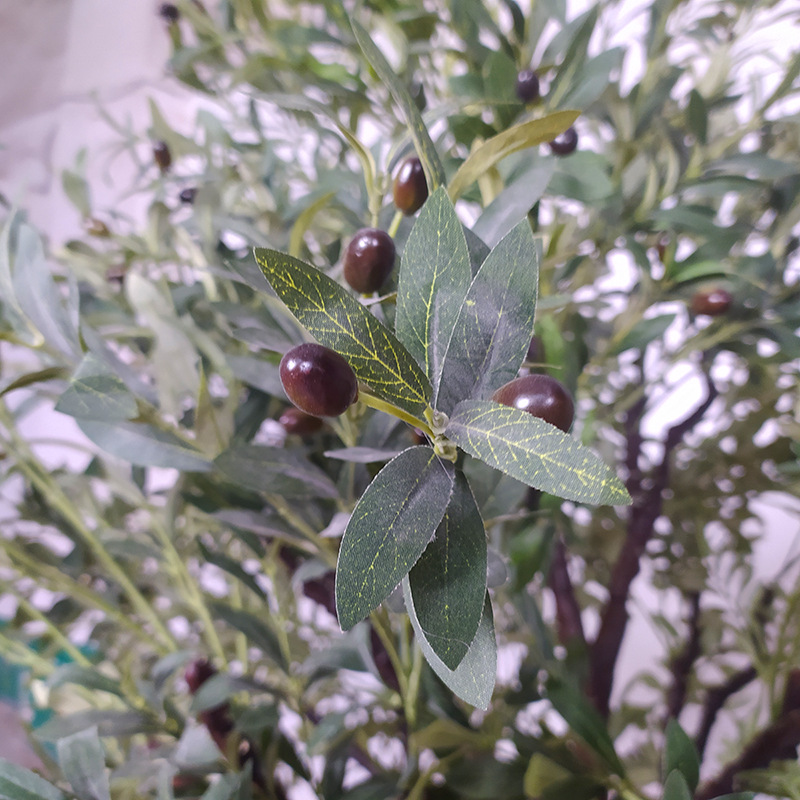 Simulated Large Indoor and Outdoor Olive Tree