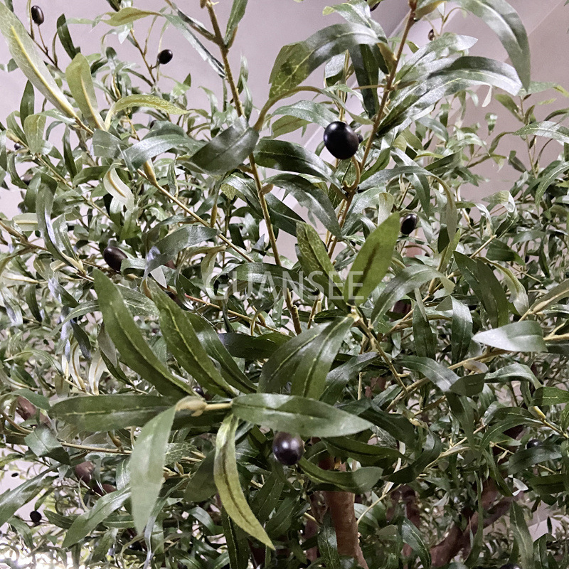  Simuleret stort indendørs og udendørs oliventræ 