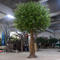 Large olive tree artificial