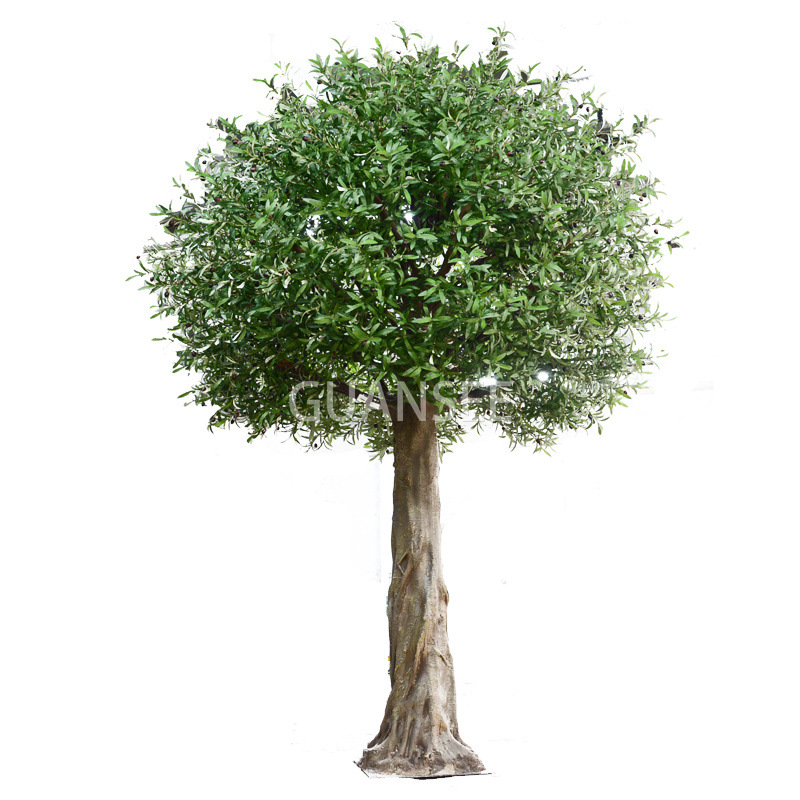 Suuri oliivipuu keinotekoisesti