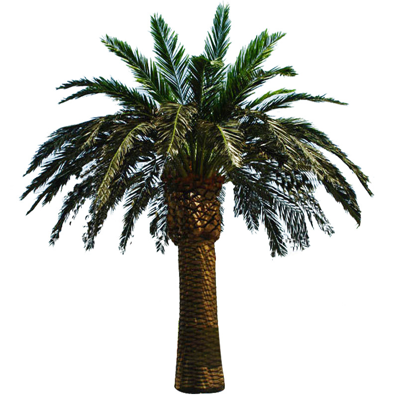 Umělá datlová palma Outdoor Coconut Tree