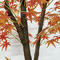 Artificial maple tree landscaping decoration for hotel restaurants