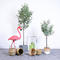 Nordic simulation tree simulation olive tree artificial flower potted decoration ins plant indoor bonsai