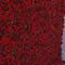 লাল কাপড় নীচে সিমুলেশন ফুল প্রাচীর পটভূমি প্রাচীর মিলন ঘাস নীচে বিবাহের প্রসাধন বিবাহের প্রসাধন