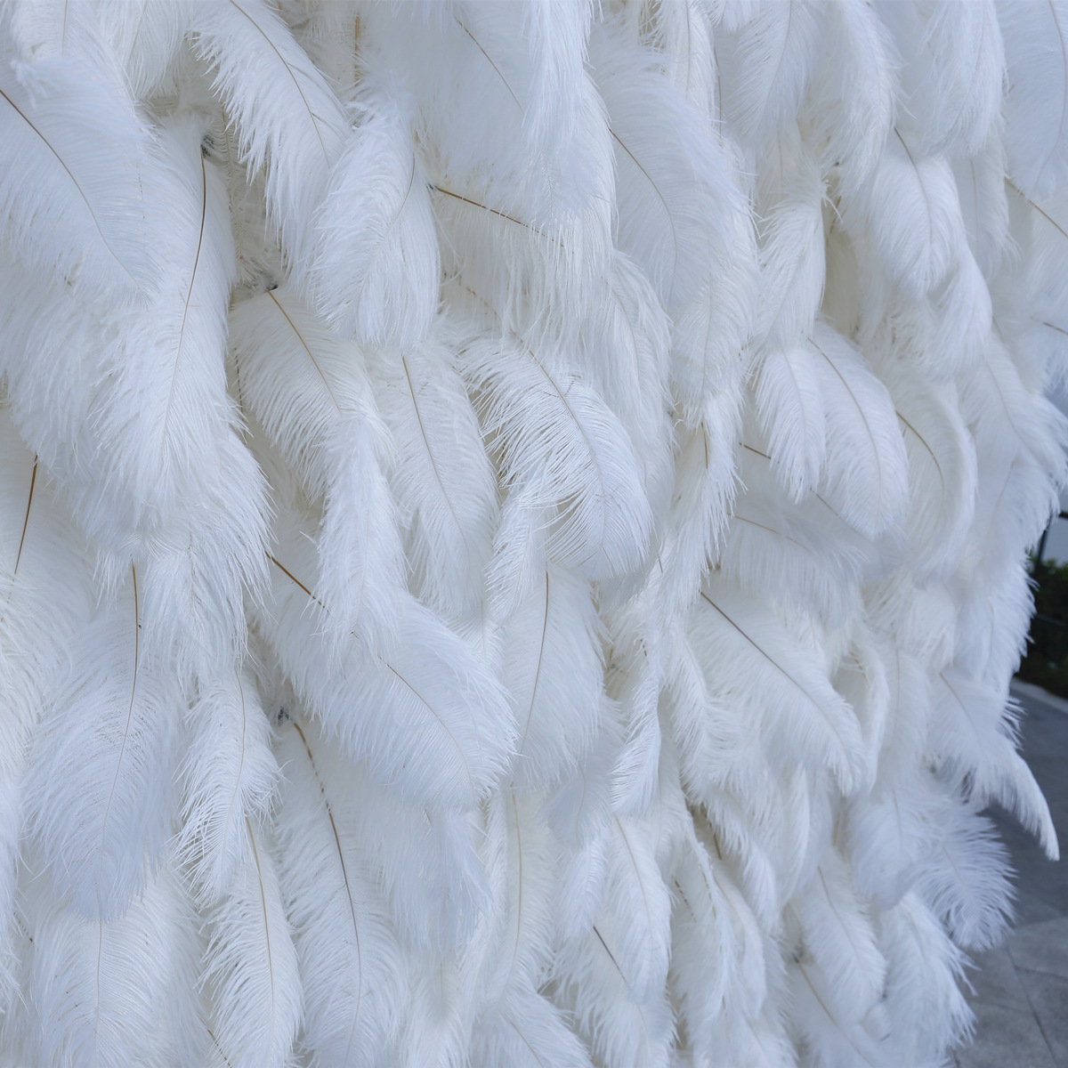 Սպիտակ փետուր պատը գործվածքների ֆոնի հարսանիքի բացօթյա ջայլամի մազերի ձևավորման ֆոնային ծաղկապատ
