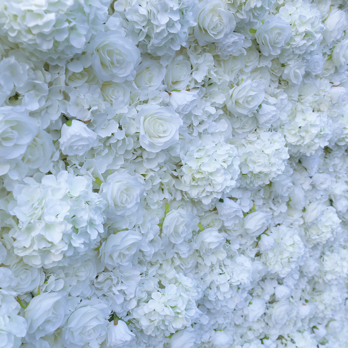 Biele plátené pozadie, kvetinová stena, stena na pozadí, simulovaná fotografia kvetov, pozadie, svadobná oslava