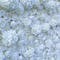 White cloth background, flower wall, background wall, simulated flower photography, background, wedding celebration