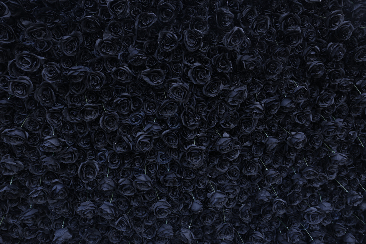 Čierna tkanina spodná simulácia ruže steny pozadia steny s vysokou hustotou 5D trojrozmerné vonkajšie aktivity scenérie