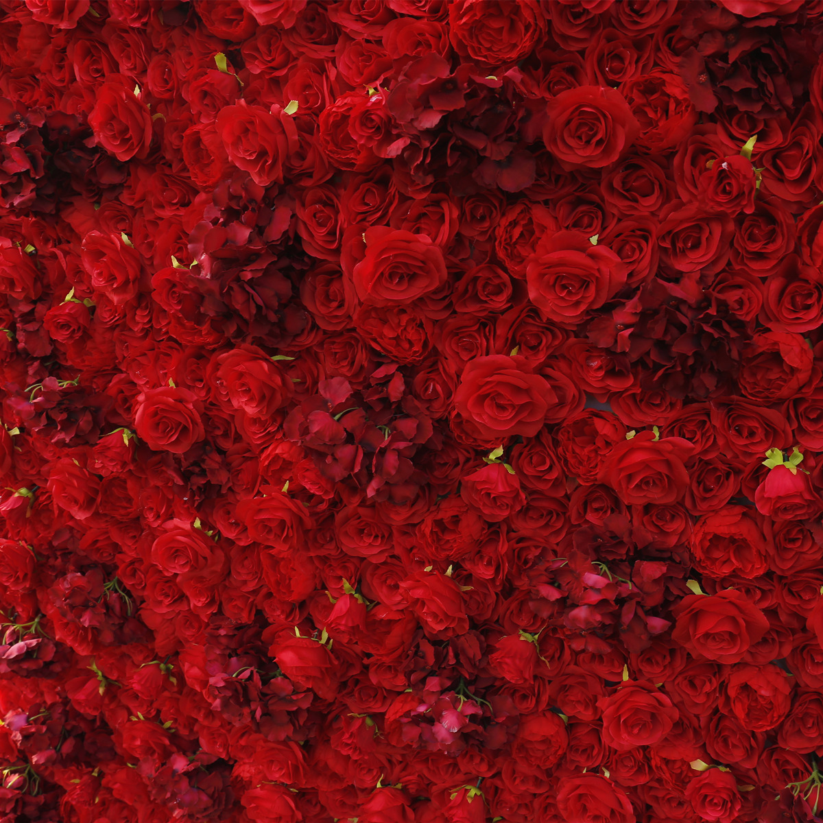Червона весільна квітка стіни фон стіни весільні прикраси торговий центр вікна прикраси