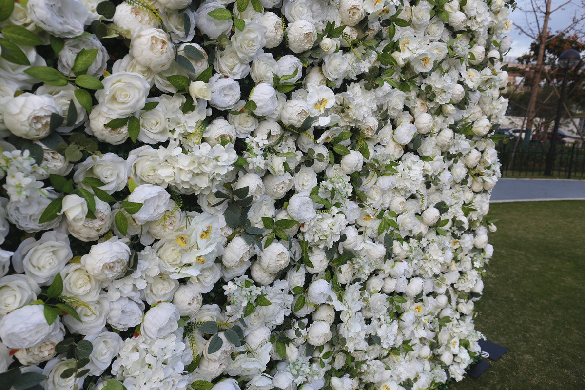 Balto audinio apatinė gėlių siena fono siena Vestuvių modeliavimo gėlė Vestuvių prekybos centro lango dekoravimo fonas bijūnų gėlių siena