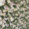 5D सिमुलेशन कपडा तल फूल पर्खाल पृष्ठभूमि पर्खाल विवाह सजावट विवाह चरण लेआउट आर्क फूलहरूको कृत्रिम फूल पृष्ठभूमि पङ्क्ति