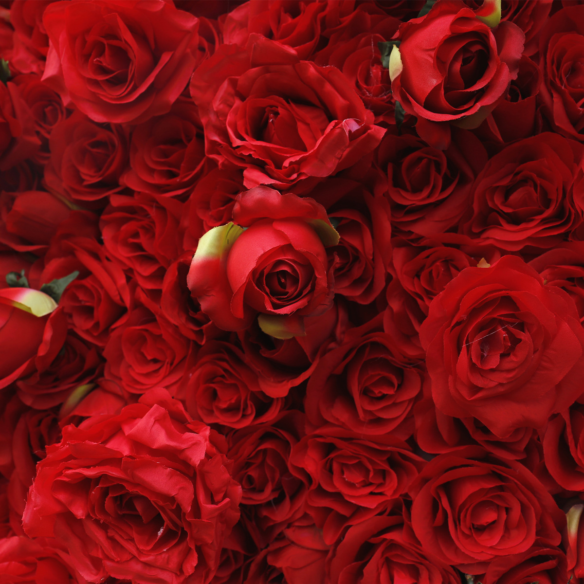 Simuloitu ruususeinä kankaaseen hääkoristeeseen punaisella taustaseinällä, ostoskeskuksen ikkunakoristeella, kasviseinällä, kukka-asetelmalla