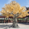 Large Simulated Golden Banyan Tree for Shopping Mall Hotel New Year Holiday