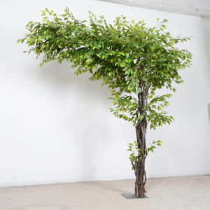 Großes Einkaufszentrum „Green Leaf Banyan Tree Wishing Tree“ im Innenbereich
