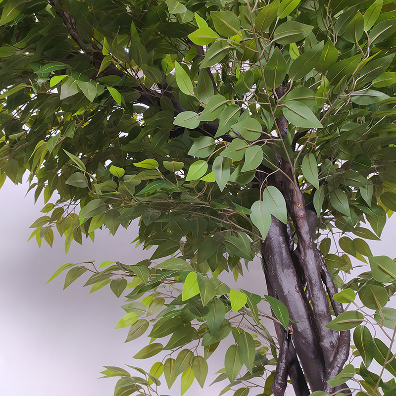  Indendørs stort Green Leaf Banyan Tree Wishing Tree indkøbscenterhotel {375368180120}<br />
 <p class=