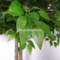 Indoor and outdoor decoration Artificial banyan tree wishing tree