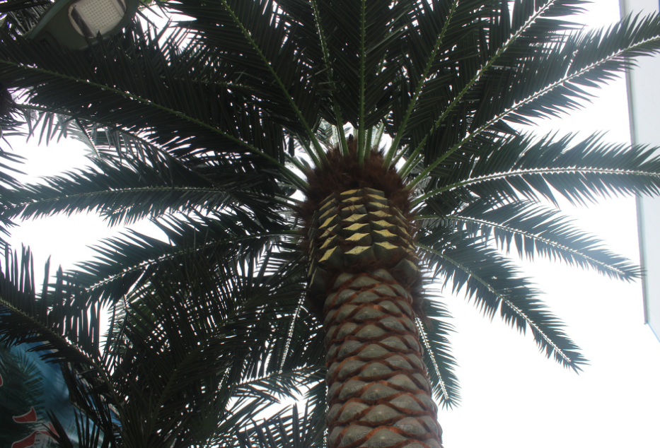 Artificial palm tree