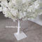 Simulate White tree indoor and outdoor scenic spots