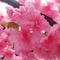 Kina Tilpasset højkvalitets populær kunstig kirsebærblomsttræ bryllup banket dekoration producenter, leverandører